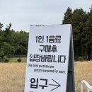 당근(carrot) | 제주 제주시 동굴 꽃밭 침대 오두막까지 이색 포토존으로 가득한 카페 가격 메뉴 후기, 비케이브