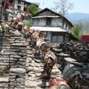 나마스떼 이미지