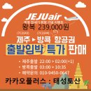 태성여행사