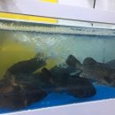 반송동255 이미지