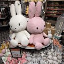 5926 | 네덜란드 암스테르담 인천행 KLM KE5926 기내식 후기