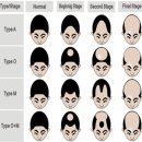 그레이스리뷰티라인 이미지