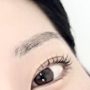 러브미브로우