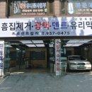 프로칼라덴트 이미지
