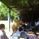 진전초등학교 이미지