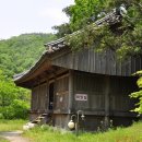 장흥군 보림사 Daum카페