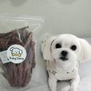 꼬dog꼬dog | 강아지수제간식 추천_꼬독꼬독 한우소허파, 송아지목뼈