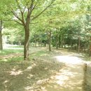 자은근린공원 | 용인 흥덕 자은근린공원 경기 흙향기 맨발길 흥덕도서관