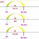 코로나19(오미크론) 연구자료 이미지