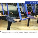 라인홀릭플라잉요가