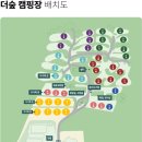 더숲캠핑장 이미지