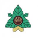 송정중앙초교 이미지