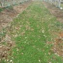 놀골농장 이미지