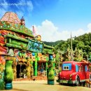 동백쉐이리 이미지