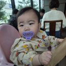 복남이네 꽁당보리밥 이미지