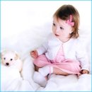 분홍강아지 이미지