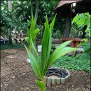 색달동-8 이미지