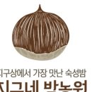 은재농원 네이버블로그
