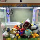 우리동네뽑기방 이미지