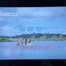 세종대 태권도 | 돌싱글즈7 출연진 직업스포부터 첫 데이트 조합,2순위 반전까지 공개!