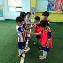 더베스트축구클럽 - 안산시 상록구 삼리로 56 | 더베스트축구클럽