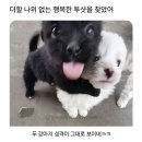 (주)유승 - 2609 | (주)유승