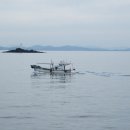 남자는배여자는항구 이미지