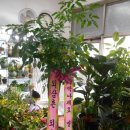 오라고호텔 이미지