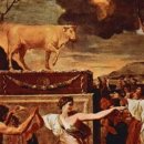 금송아지 이미지