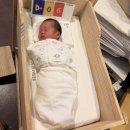 플로라모텔 | 메종플로라 산후조리원(1주 후기