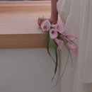 스튜디오제인 | [웨딩촬영후기] 어바웃제인스튜디오(김상길작가님),퍼스널뷰티크,디아시,알루