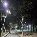 광명체육관 이미지