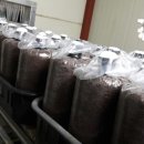 병팔농장 이미지