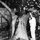 주식회사 백송 이미지