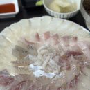 막썰어회 | 양산 사송 횟집 추천 막썰어횟집 모둠회 솔직후기 내돈내산