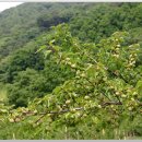 미골농장 이미지