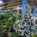 바구니꽃집 | 전주꽃집 집들이 선물 고민 끝, 천사꽃집 바구니 후기