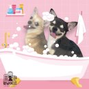 멍냥이 펫싸롱, 펫호텔 이미지