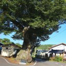 구룡1리 이미지