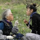 봄날처럼 민박 이미지