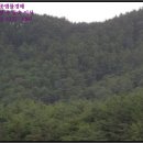 울진군울진읍신림보건진료소 이미지