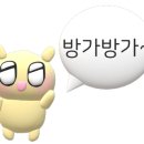 스퀘어어니언 이미지