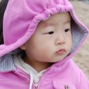 곰소초등학교 이미지