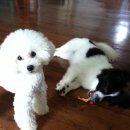 류가농장 이미지