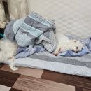 아롱네일 이미지