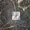 고단2리 이미지