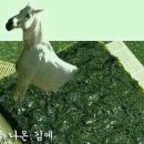 바나나소프트 이미지