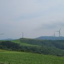 삼양목장 이미지