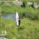 가봉목장 이미지