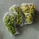 ❌품절❌ 농라) 골드스위트 공품 1.8kg 2만원 이미지